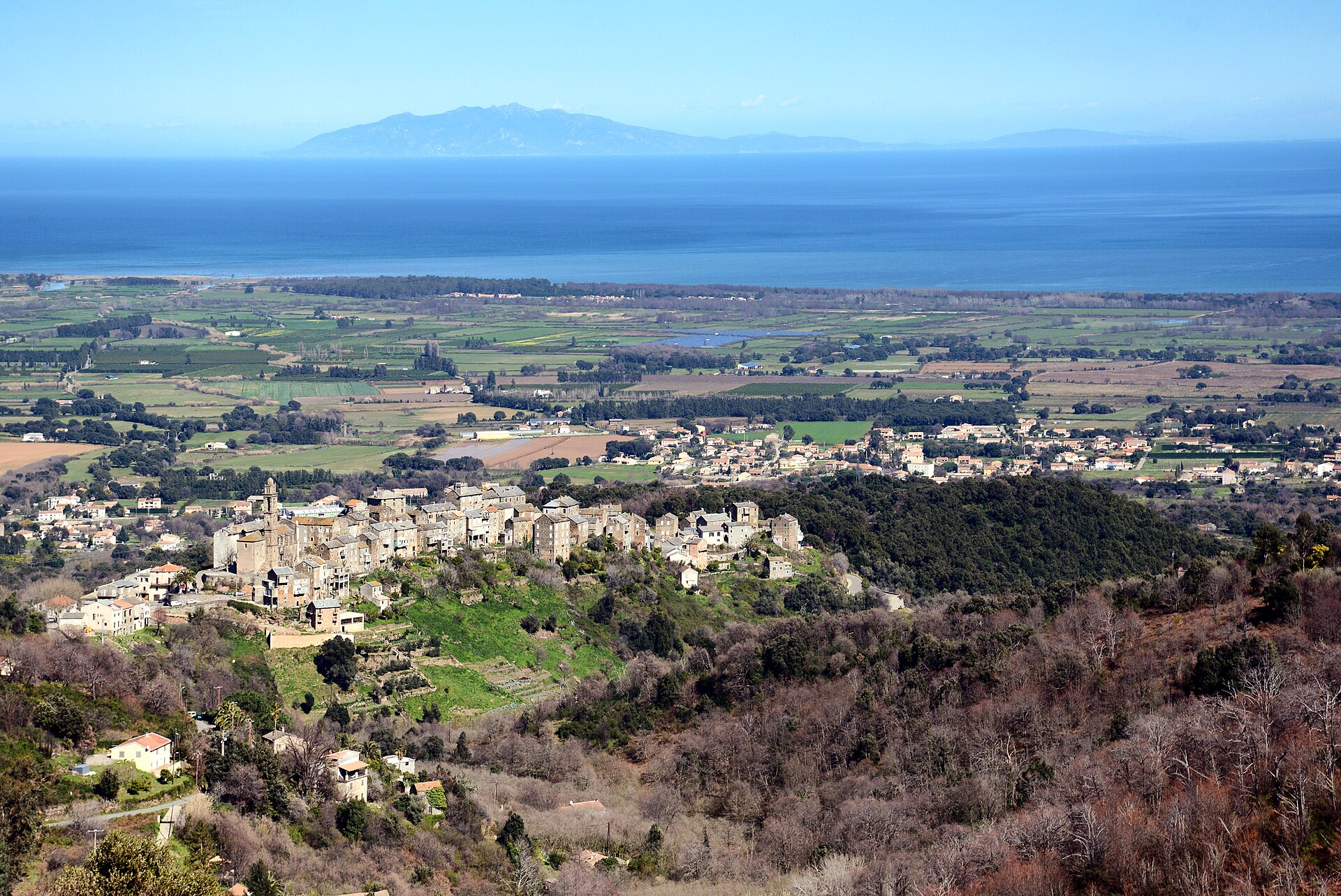 Venzolasca